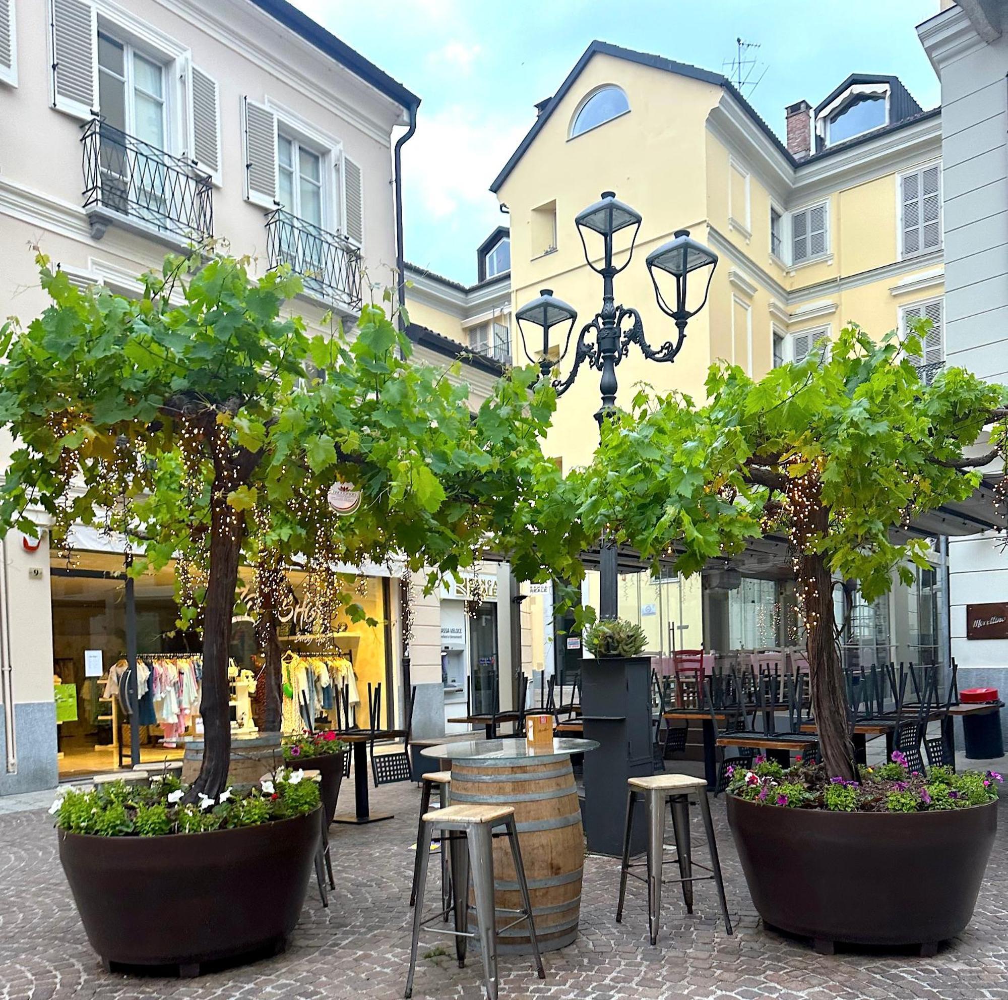Del Palio Apartment Asti
